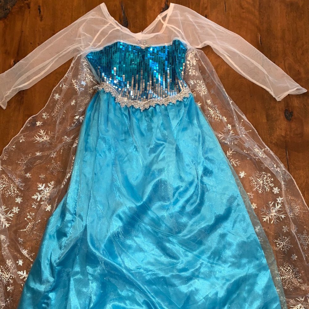 Disney Frozen Elsa Costume